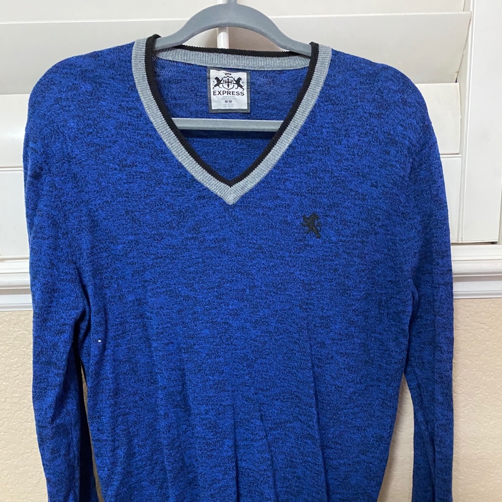 Express long sleeve sweater